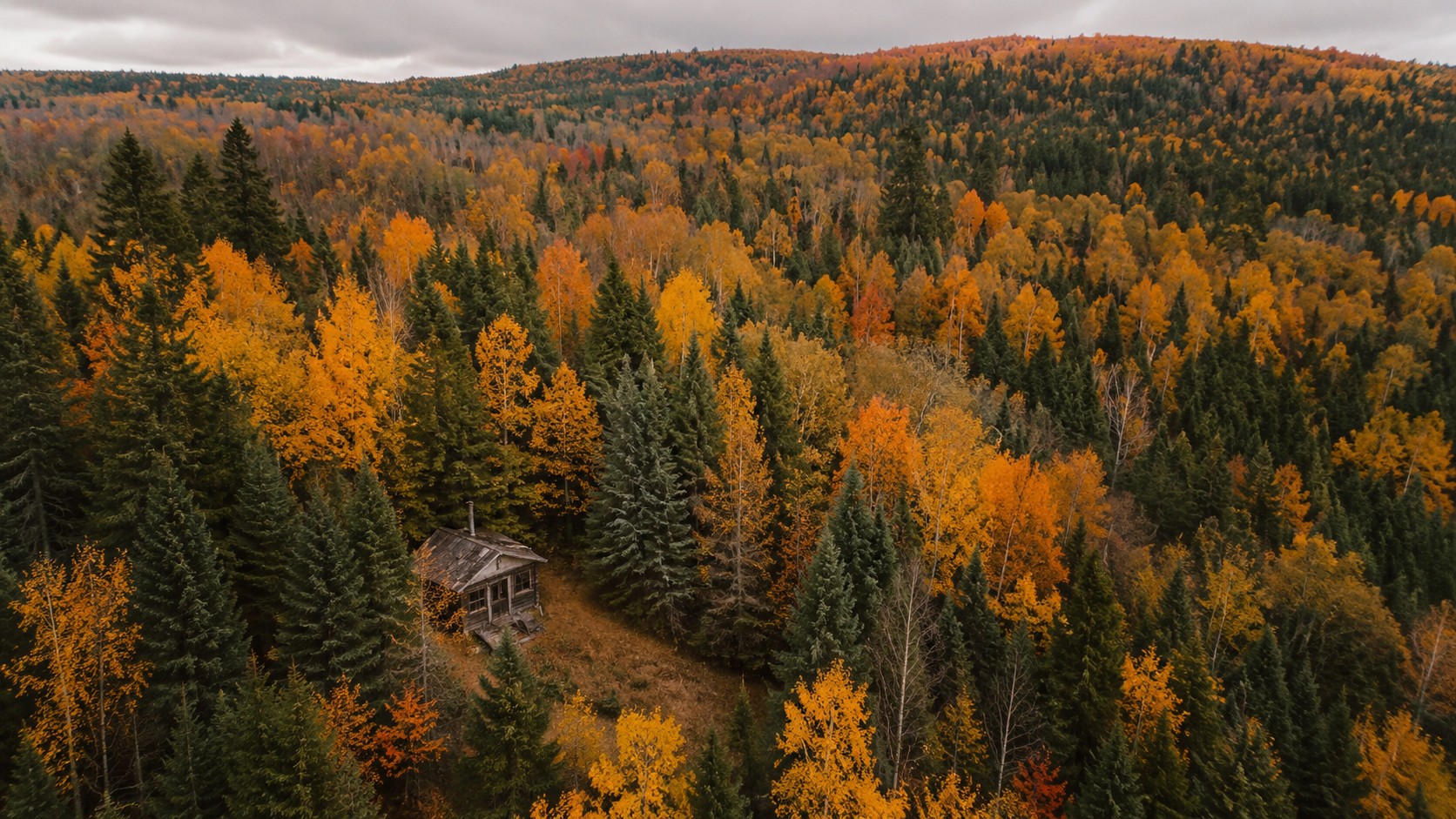 Vieux chalet abandonné dans une forêt d'automne au Québec — hériter d'une terre à bois